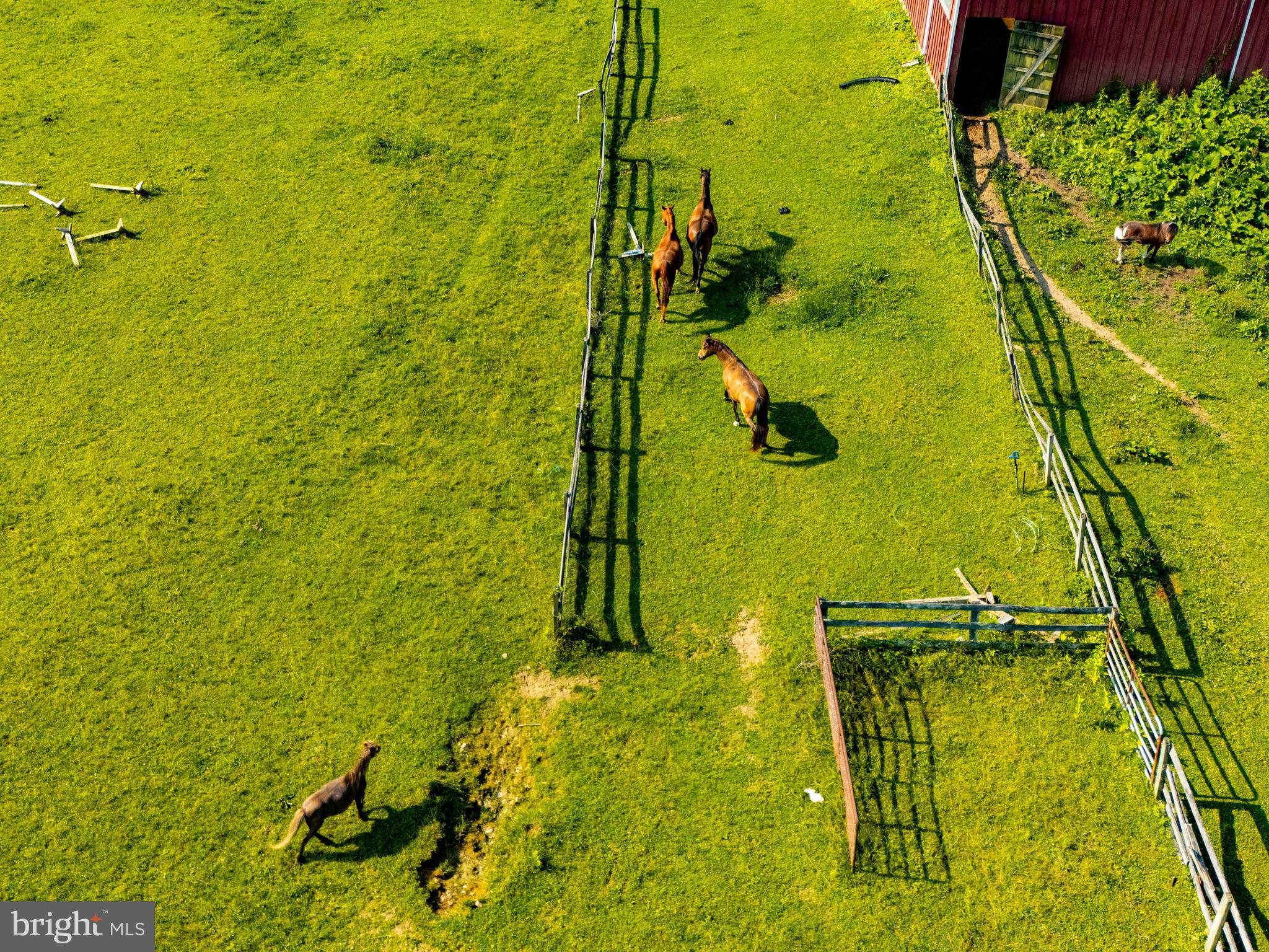 TUFTON FARMS - Residential