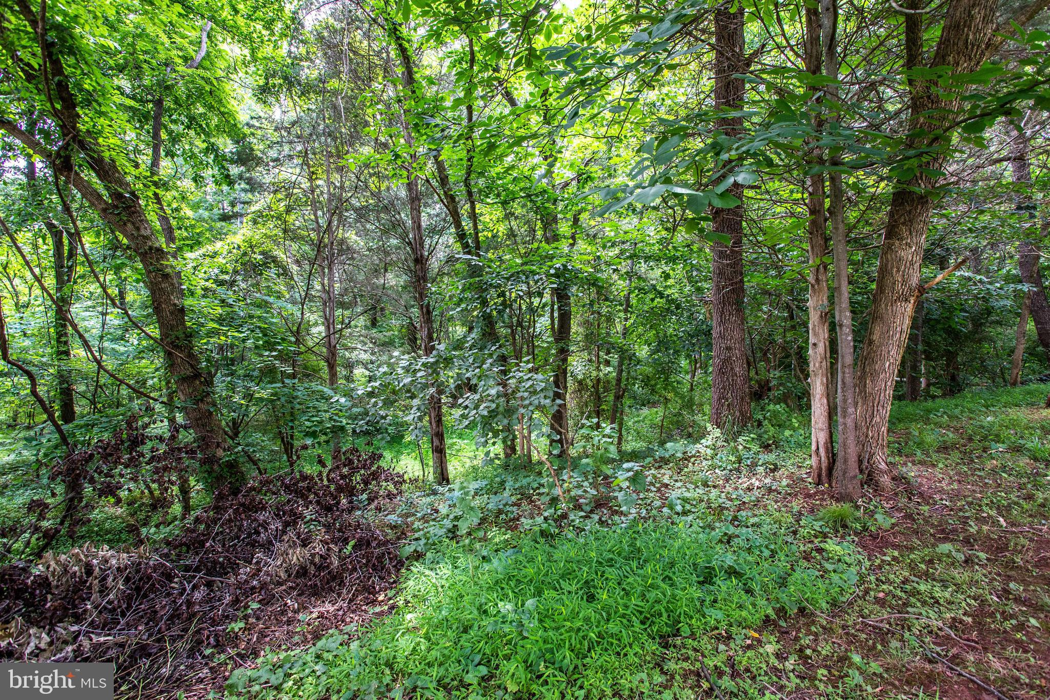 HUNTERS RUN - Residential