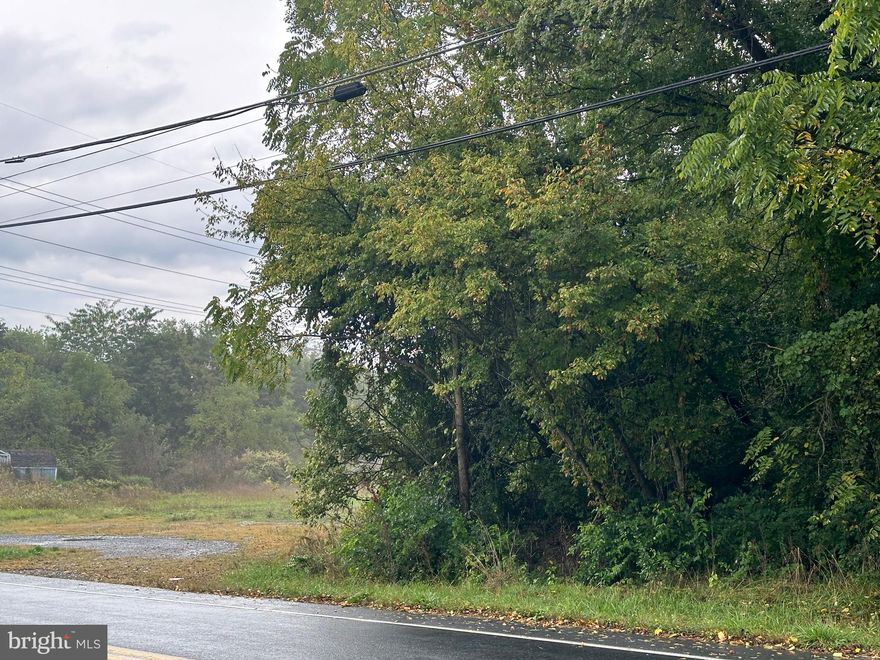 1.46 Acre Lot – Steps from Norlo Park!**
Thoughts of building your ideal home in a perfect blend of nature and convenience? This mostly level 1.46-acre lot is partially wooded and offers the best of both worlds. With public water and sewer available, the front section is a possibility for your future home, while the back is perfect for recreational activities and enjoying the outdoors.
Located within walking distance to Norlo Park, you’ll have endless options for fun and relaxation. Whether it's pitching horseshoes, kicking around a soccer ball, taking your dog to one of the two dedicated dog parks, or just strolling through the scenic trails, there's something for everyone. At the park, the little ones can enjoy the open spaces while you admire the stunning views of South Mountain 
Plus, you're just minutes away from local shopping and the vast 83,000-acre Michaux State Forest, offering even more outdoor adventures. Don’t miss this opportunity to build and live in a location that balances tranquility and accessibility! Call today to schedule a walk around the lot!