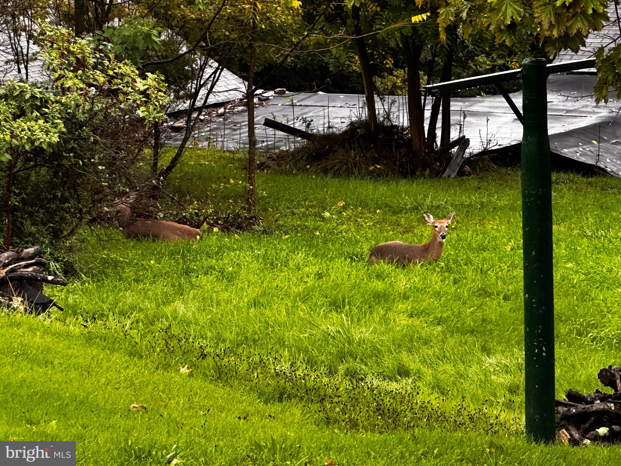 HAWTHORN HEIGHTS - Residential