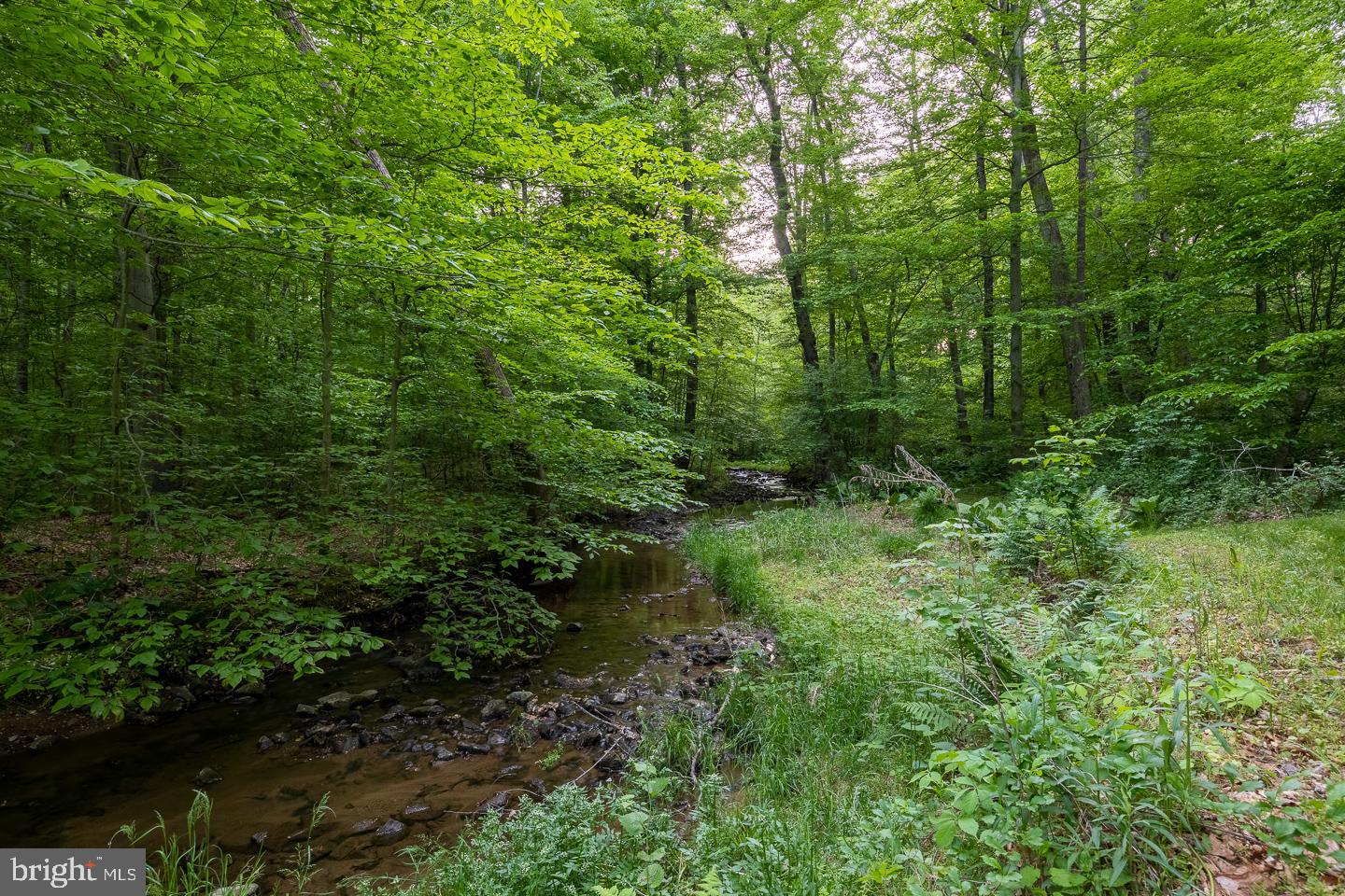 HUNTVIEW AT HORSES - Residential