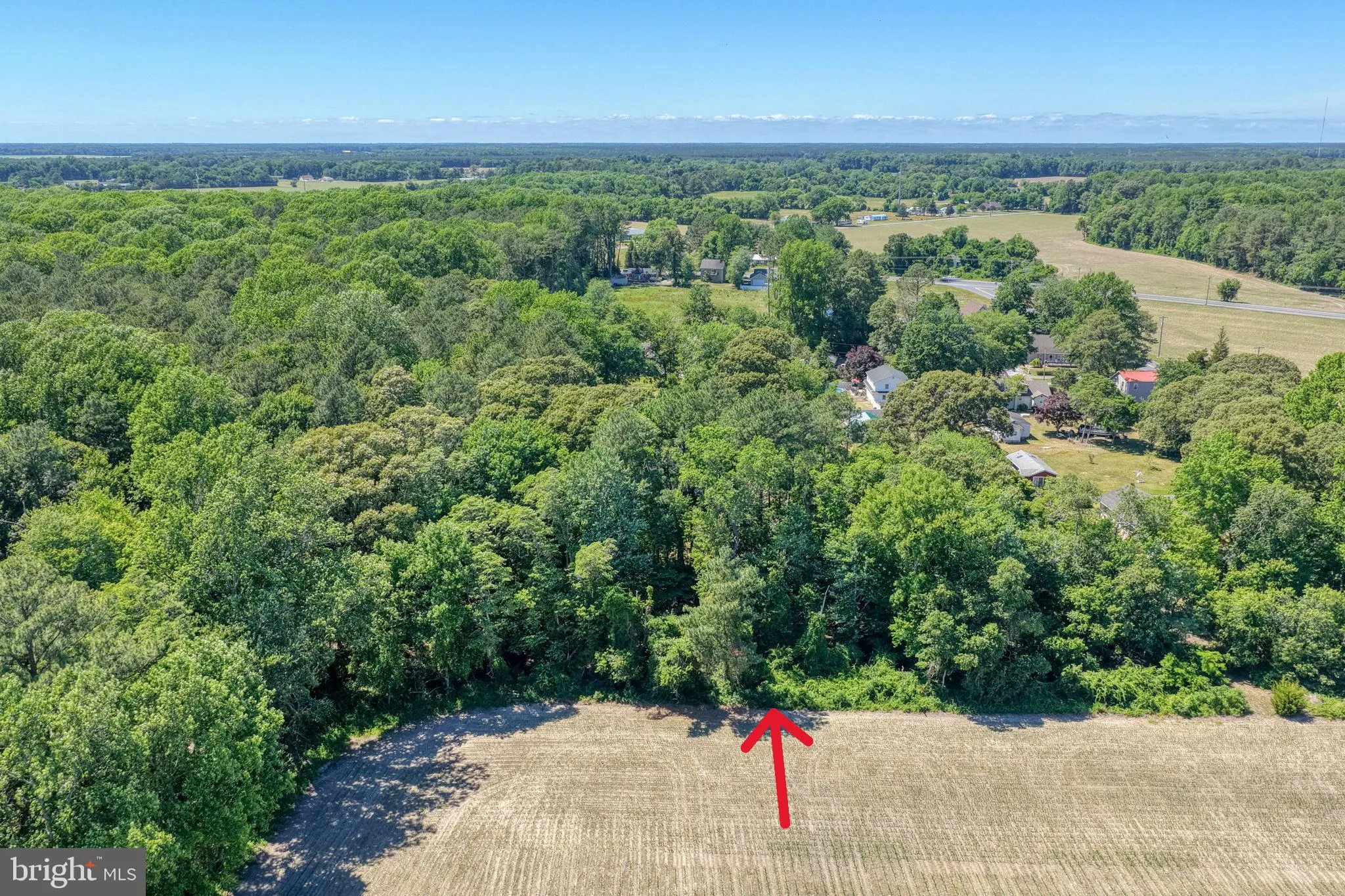 Additional image 30 of Holly Tree Road, Millsboro, DE 19966