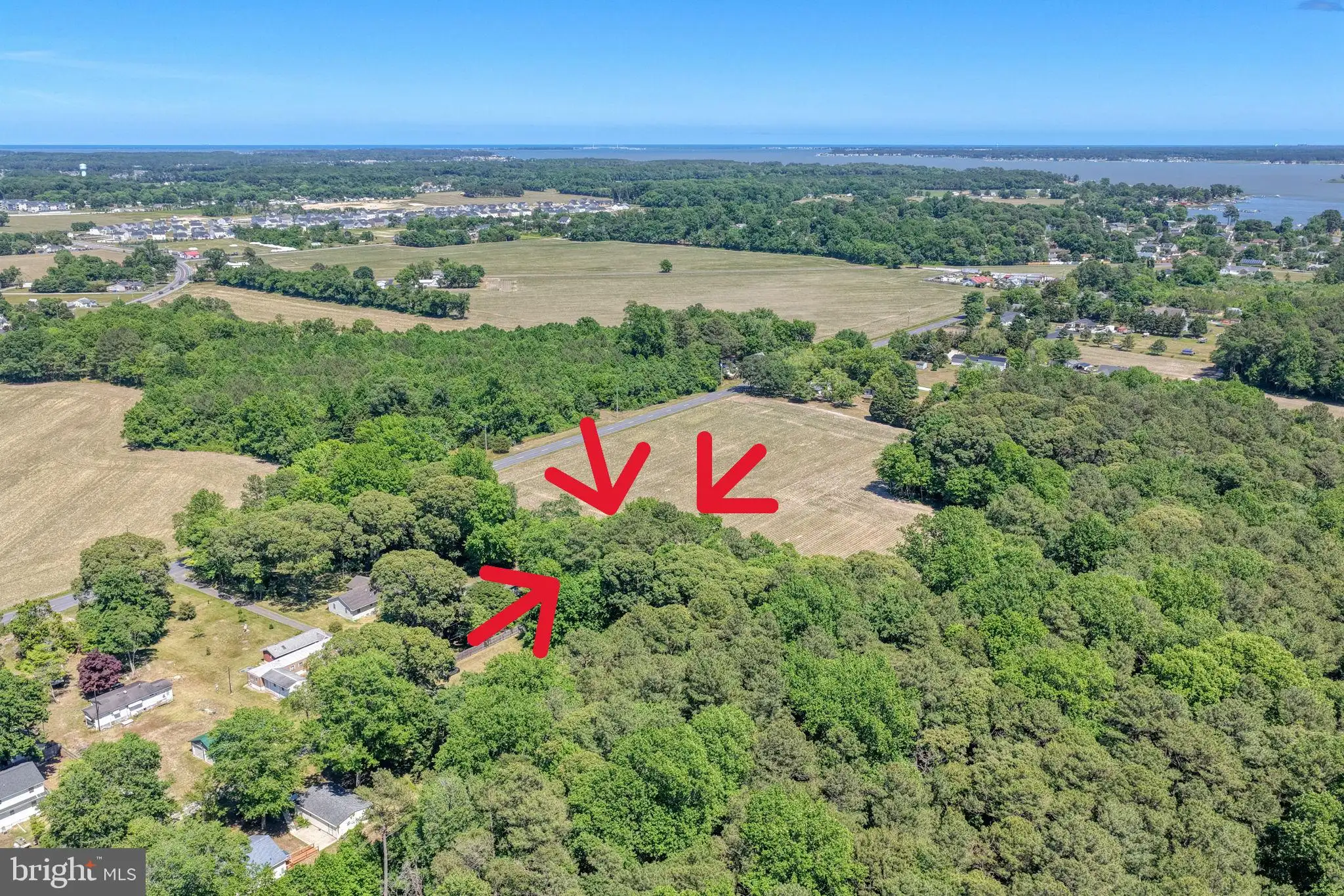Additional image 18 of Holly Tree Road, Millsboro, DE 19966