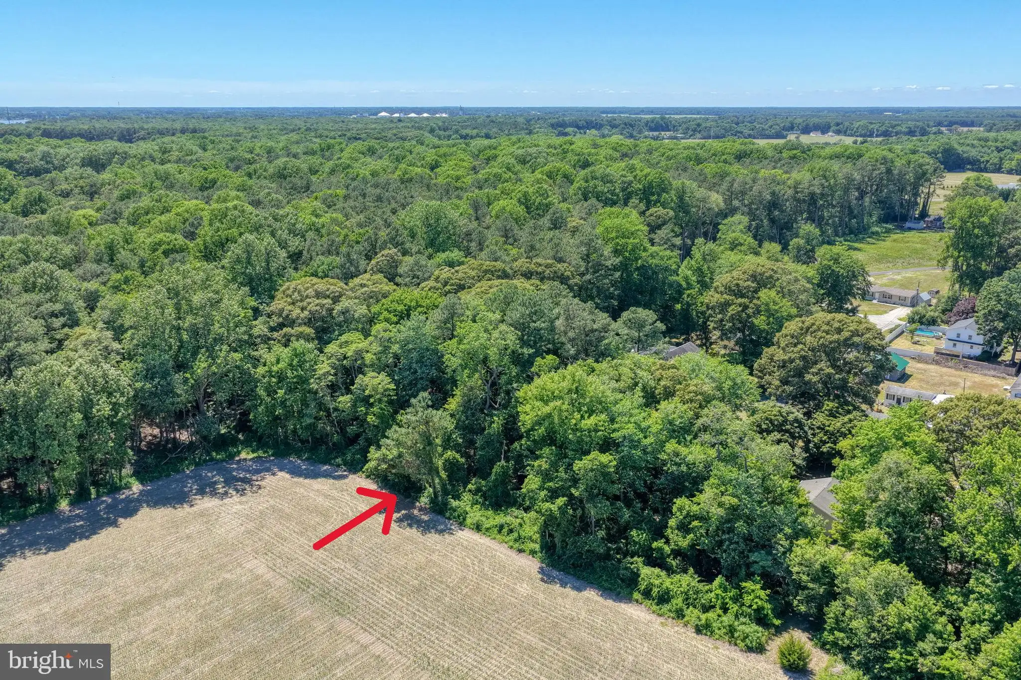 Additional image 31 of Holly Tree Road, Millsboro, DE 19966