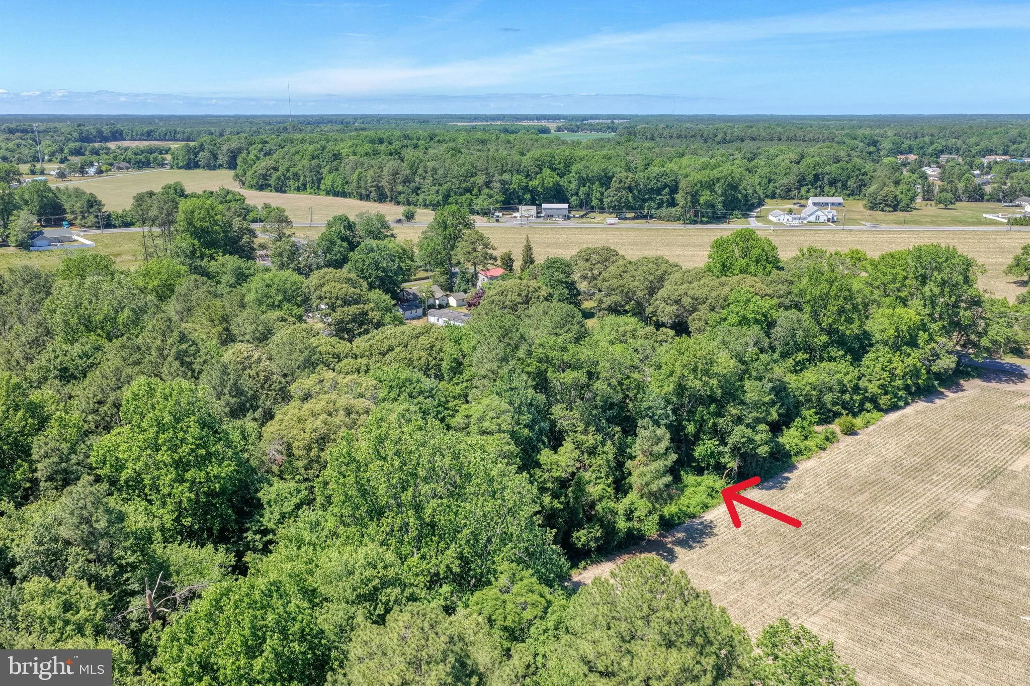 Additional image 29 of Holly Tree Road, Millsboro, DE 19966