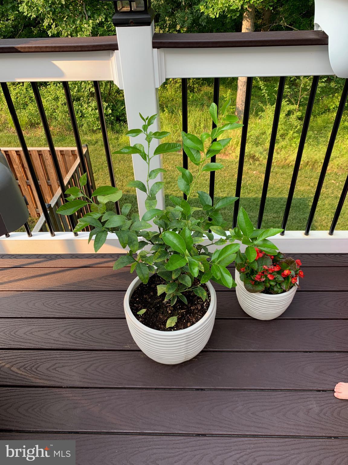 BRAMBLETON BRANDT PROPERTY - Residential