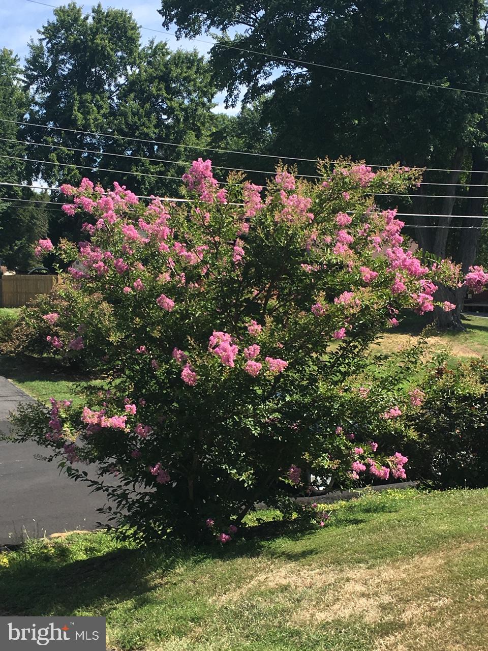 COLONIAL FARMS - Residential