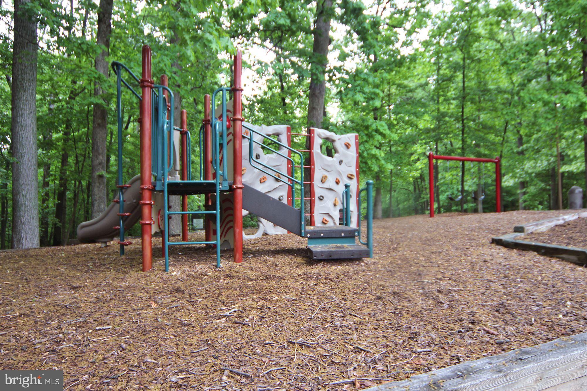 CARDINAL FOREST - Residential Lease