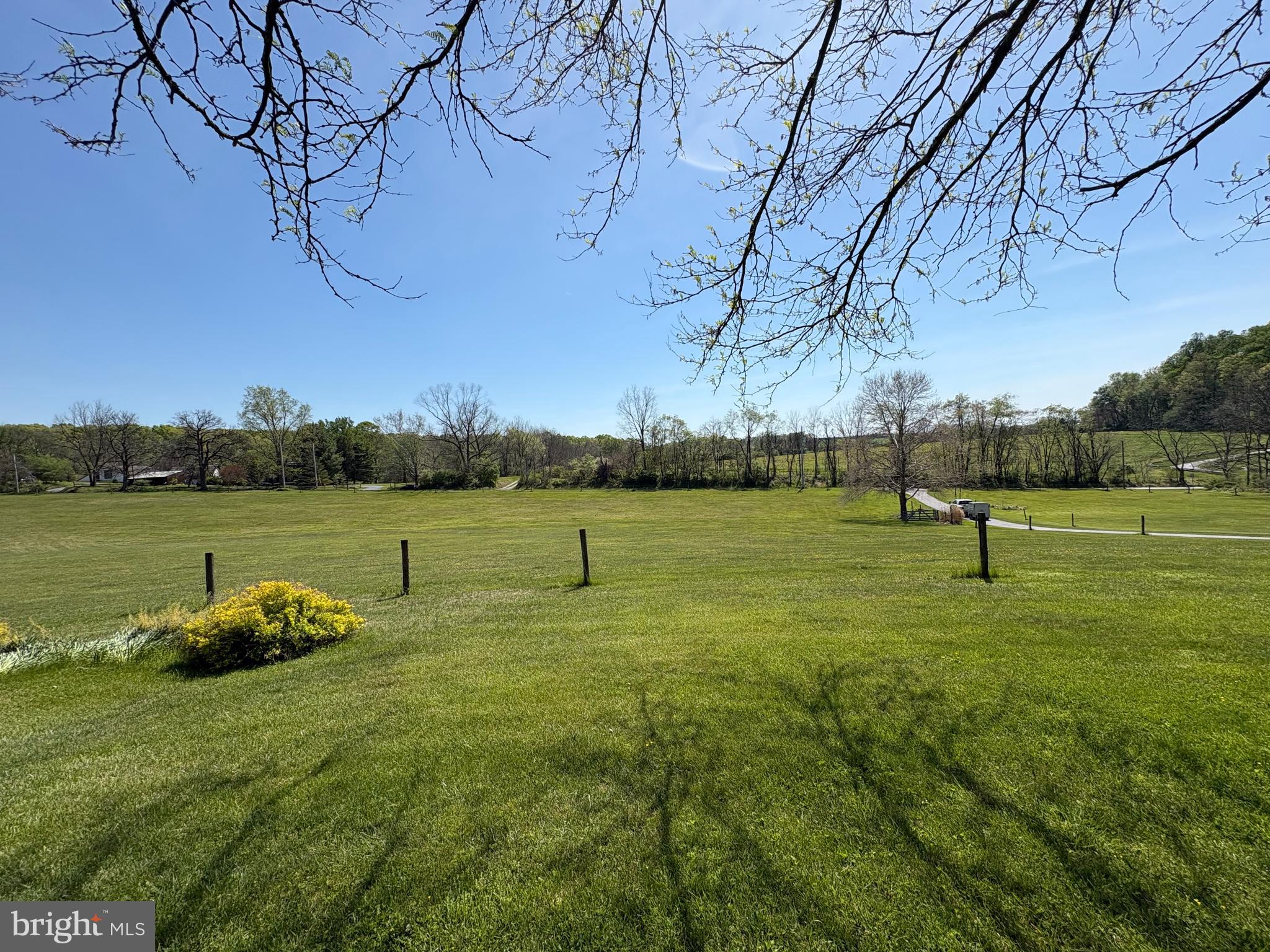 241 GLENROSE ROAD