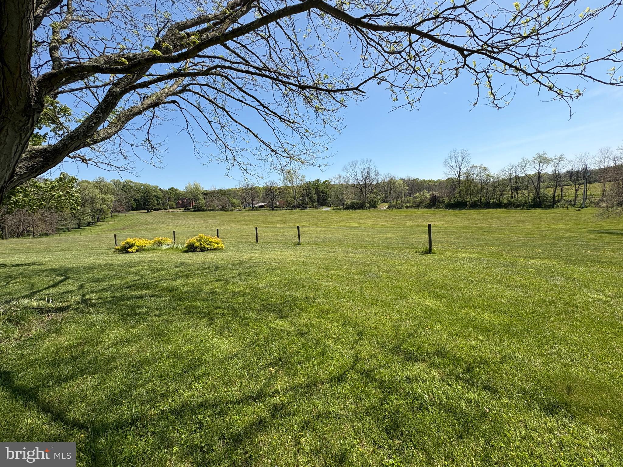 241 GLENROSE ROAD