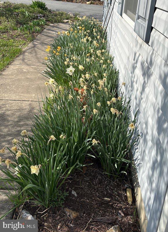 FEDERAL HILL - Residential