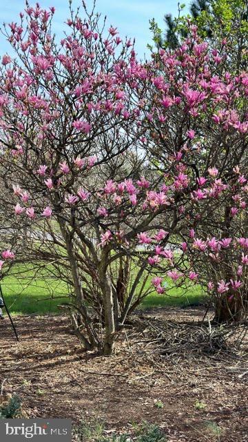 FEDERAL HILL - Residential