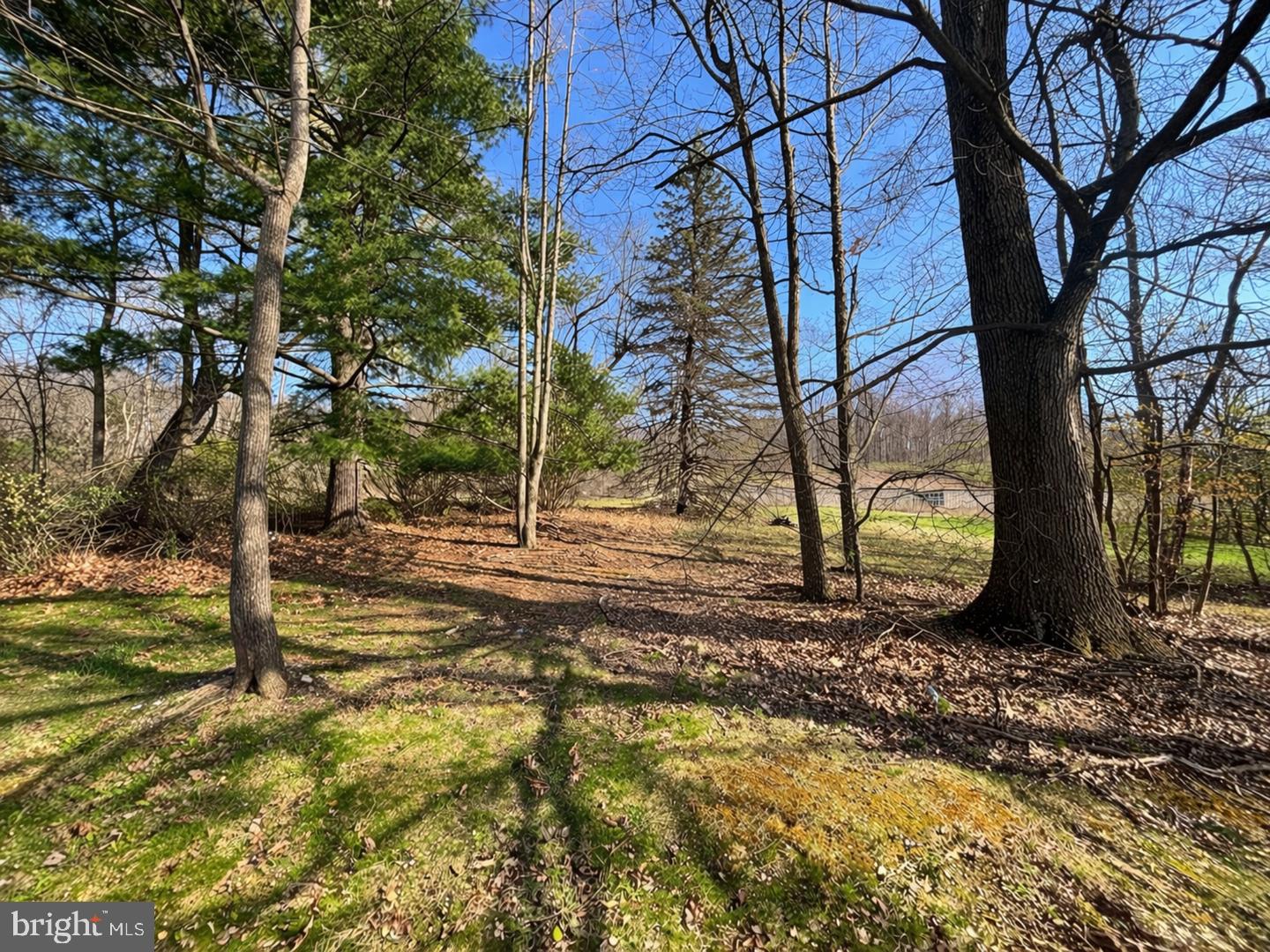 SANDY RUN ROAD