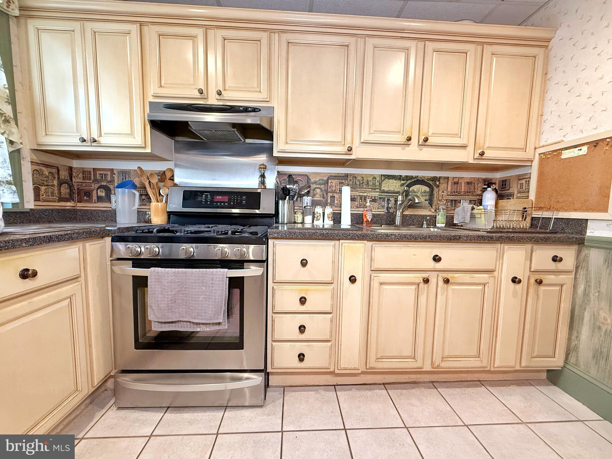 LOWER MOYAMENSING - Residential