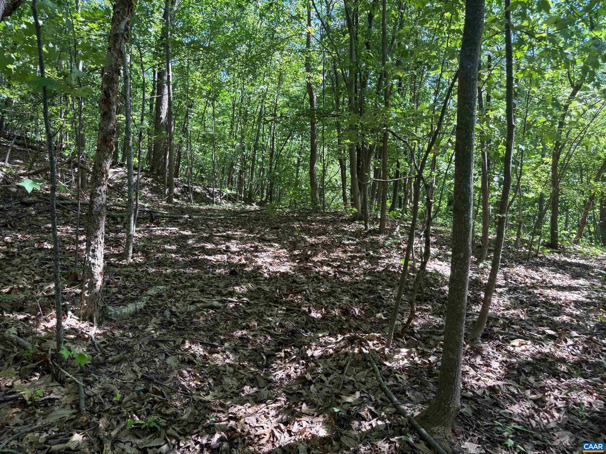 NONE AVAILABLE - Land