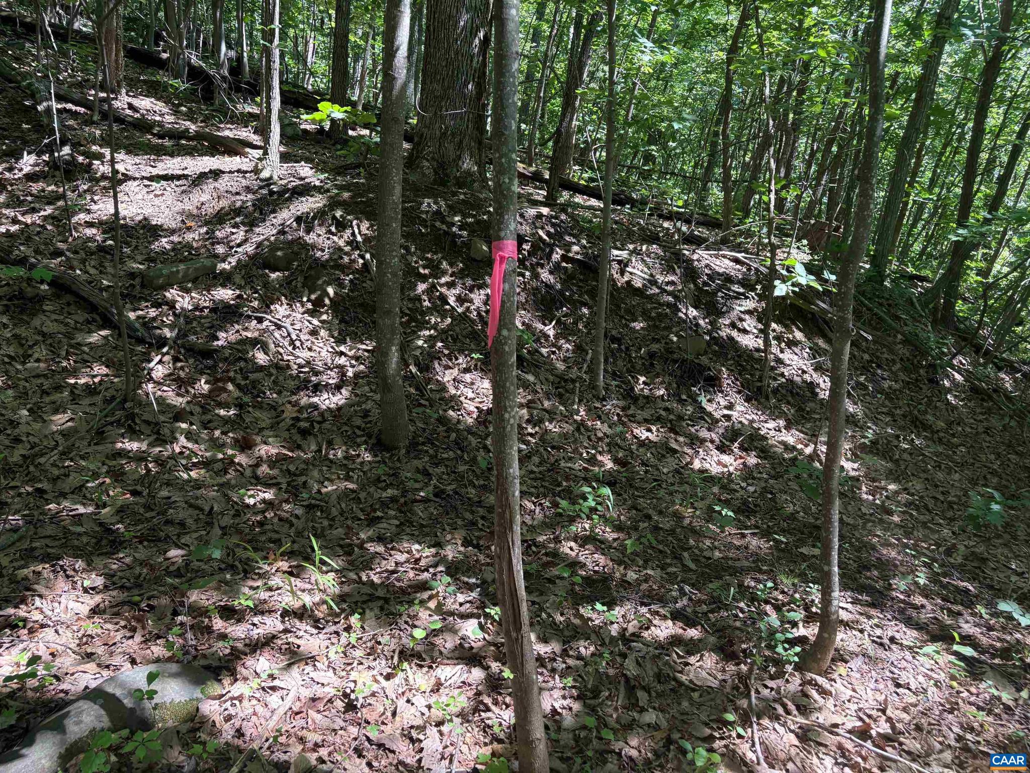 NONE AVAILABLE - Land