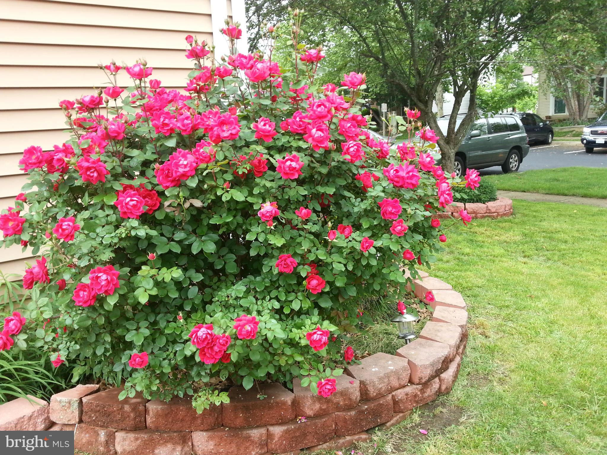 LITTLE ROCKY RUN - Residential Lease