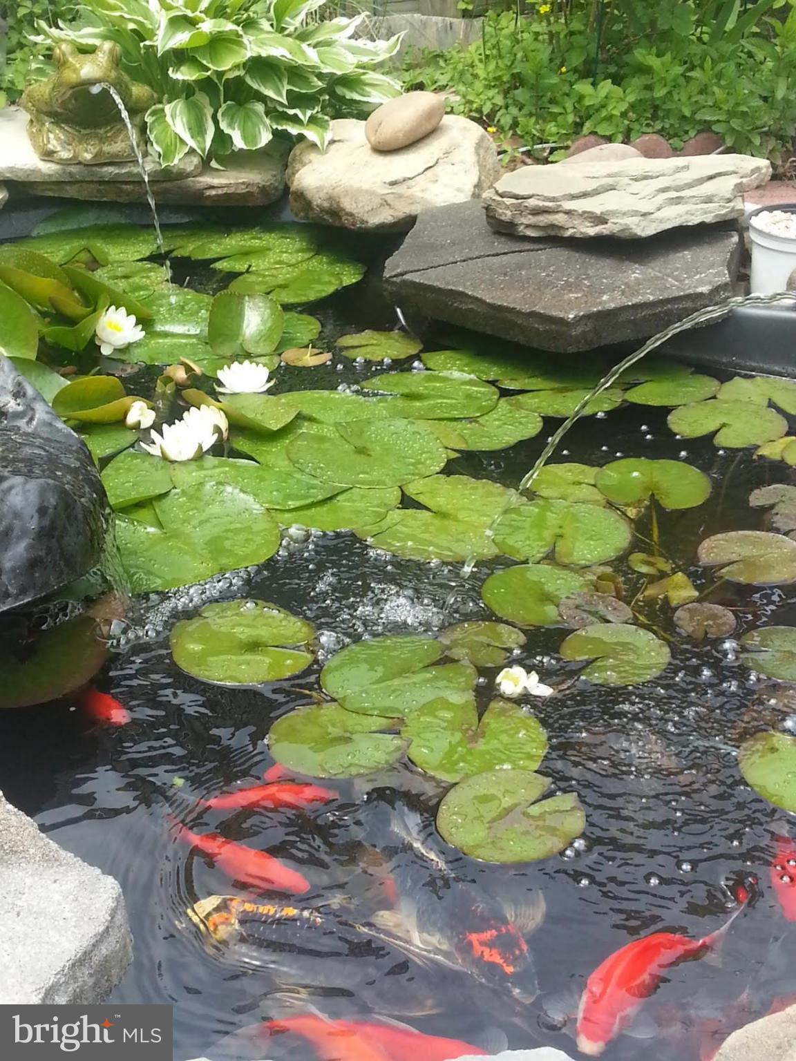 LITTLE ROCKY RUN - Residential Lease