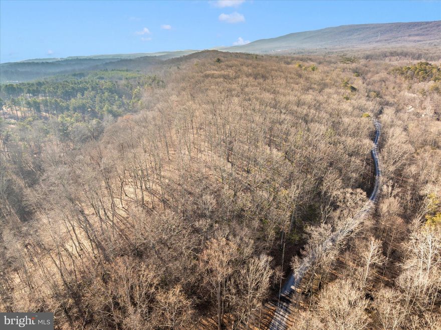 Looking for the perfect piece of land with stunning views, majestic mountains, privacy, nature, and more? This 8-acre parcel has it all and is ready for you. Plus, it’s already perc tested! Schedule your showing today!!