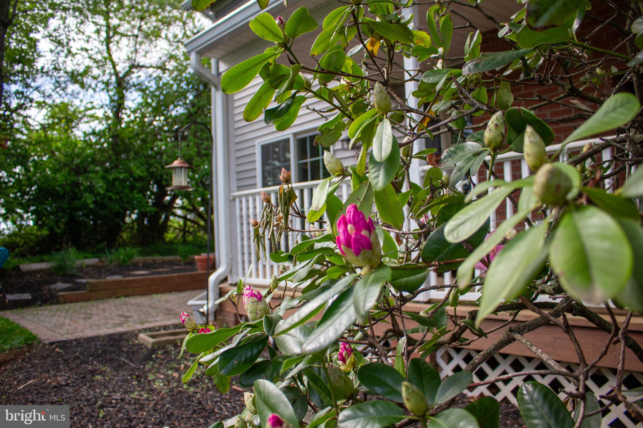 DAMASCUS OUTSIDE - Residential