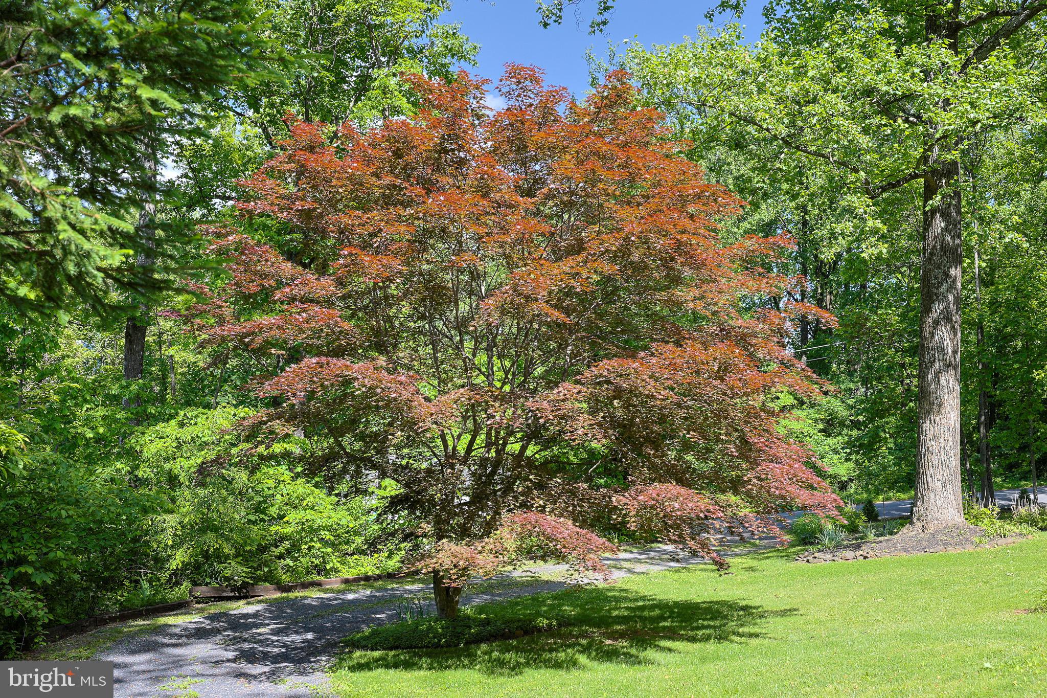LAKE FRONT ROYAL - Residential