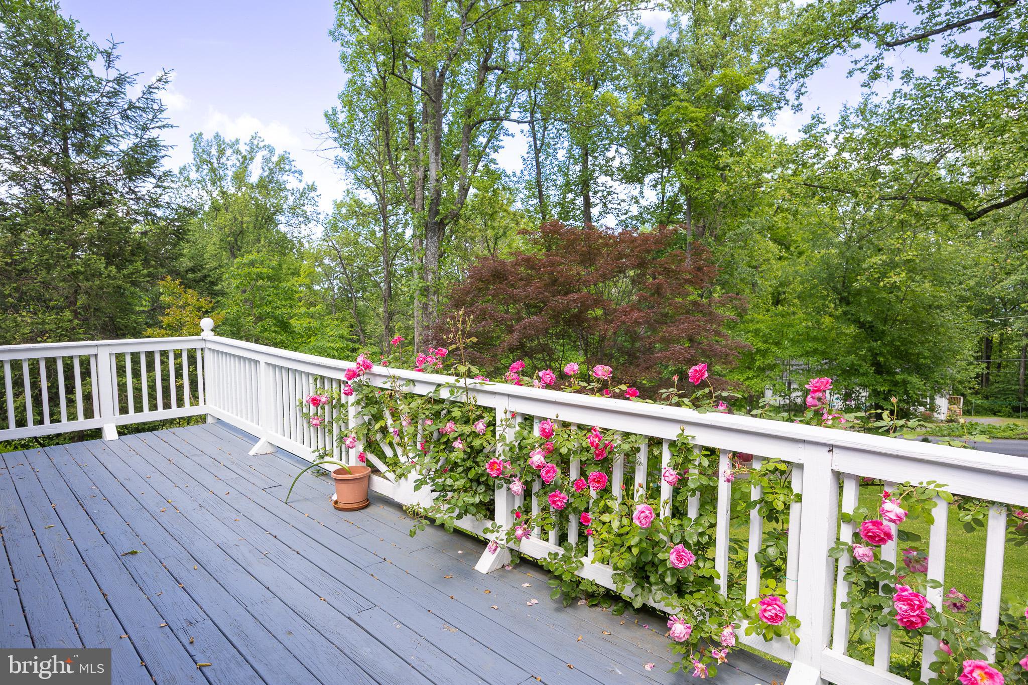 LAKE FRONT ROYAL - Residential