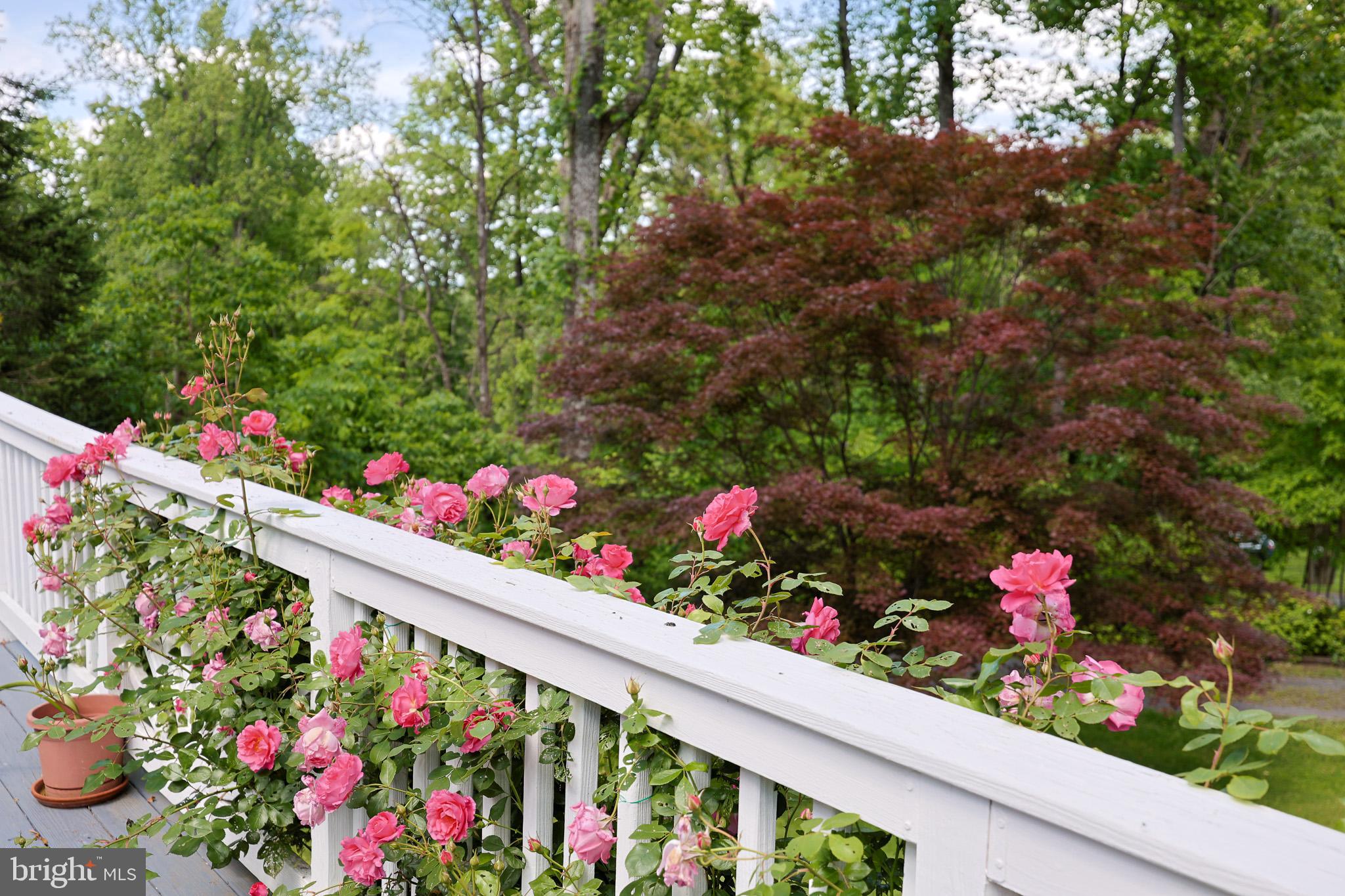 LAKE FRONT ROYAL - Residential