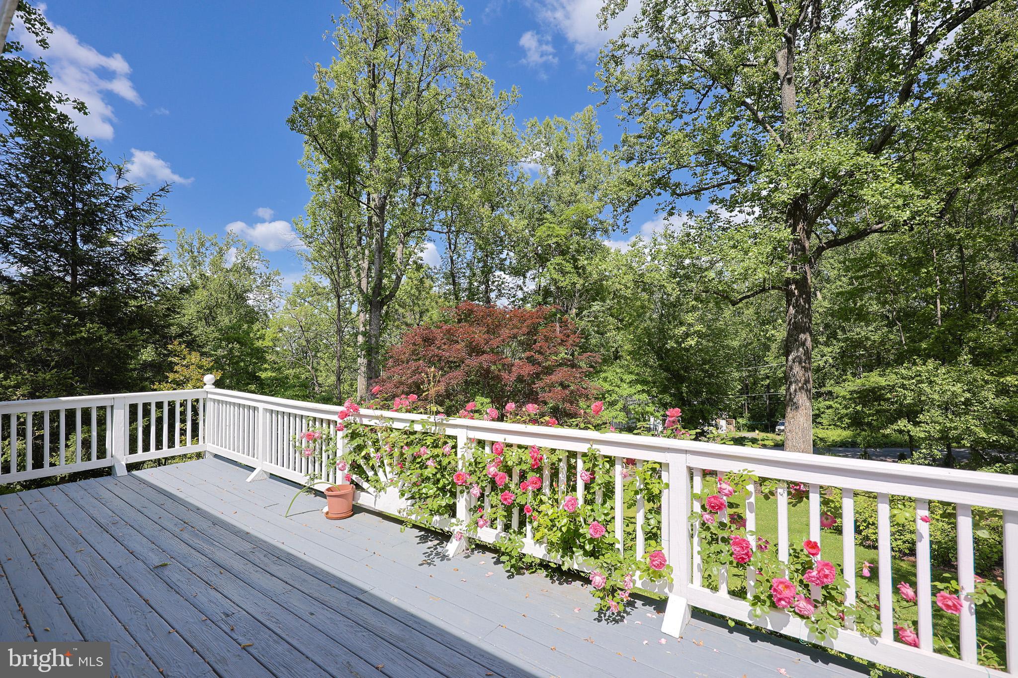 LAKE FRONT ROYAL - Residential