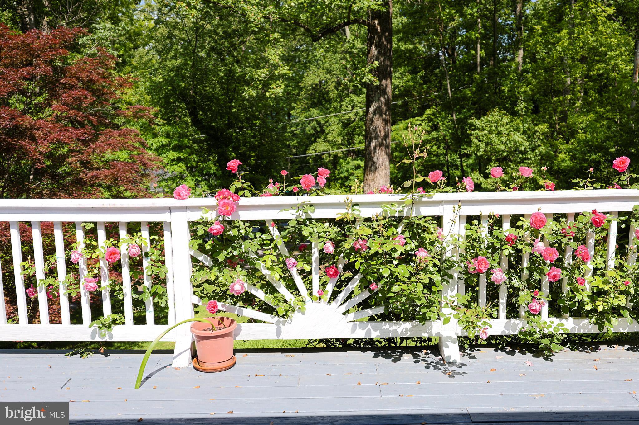 LAKE FRONT ROYAL - Residential