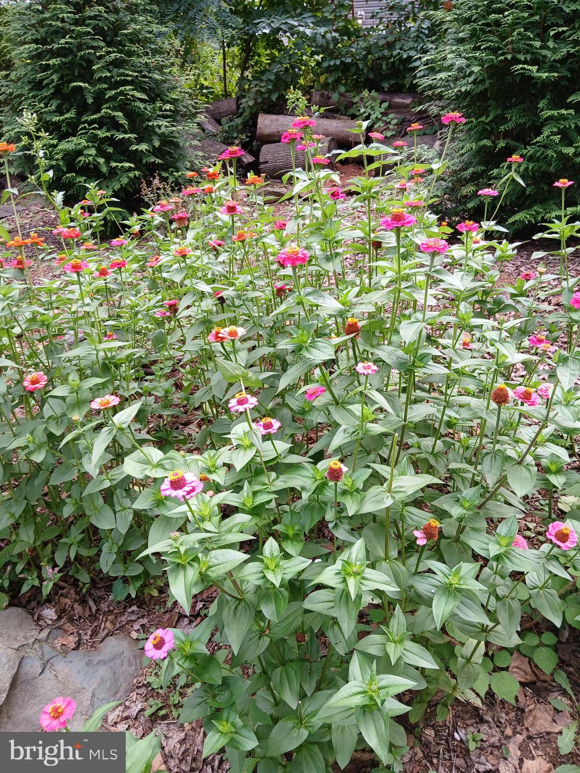 LAKE FRONT ROYAL - Residential