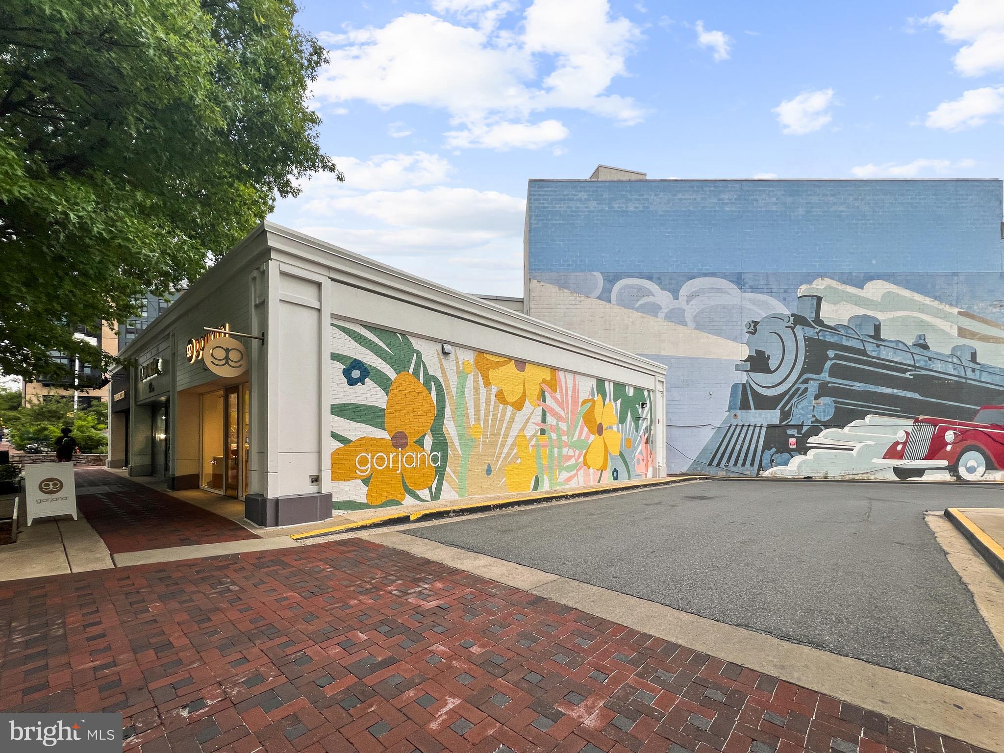 CHEVY CHASE TERRACE - Residential