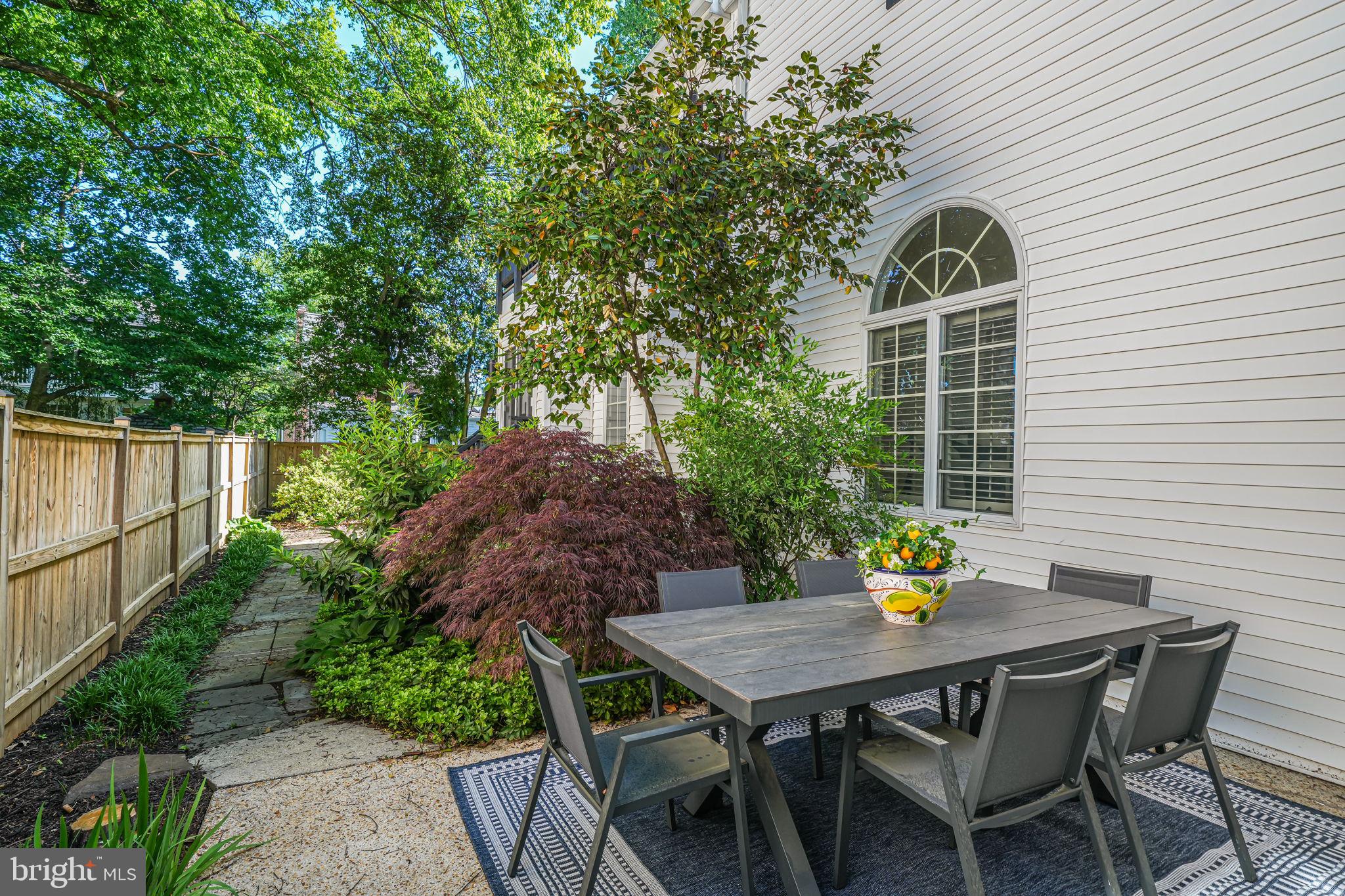 CHEVY CHASE TERRACE - Residential