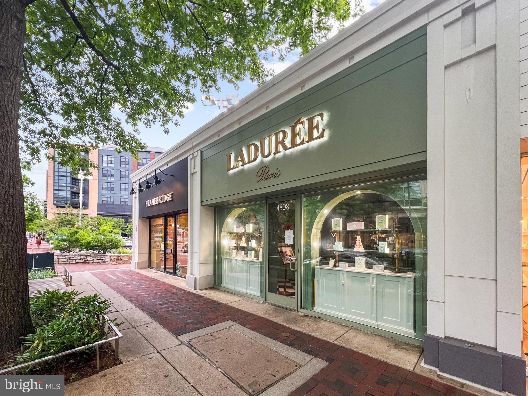 CHEVY CHASE TERRACE - Residential