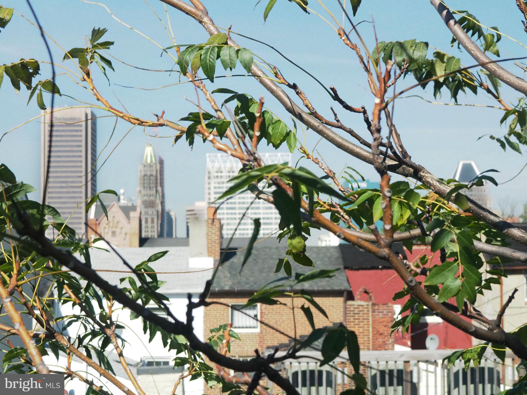 FEDERAL HILL HISTORIC DISTRICT - Residential Lease