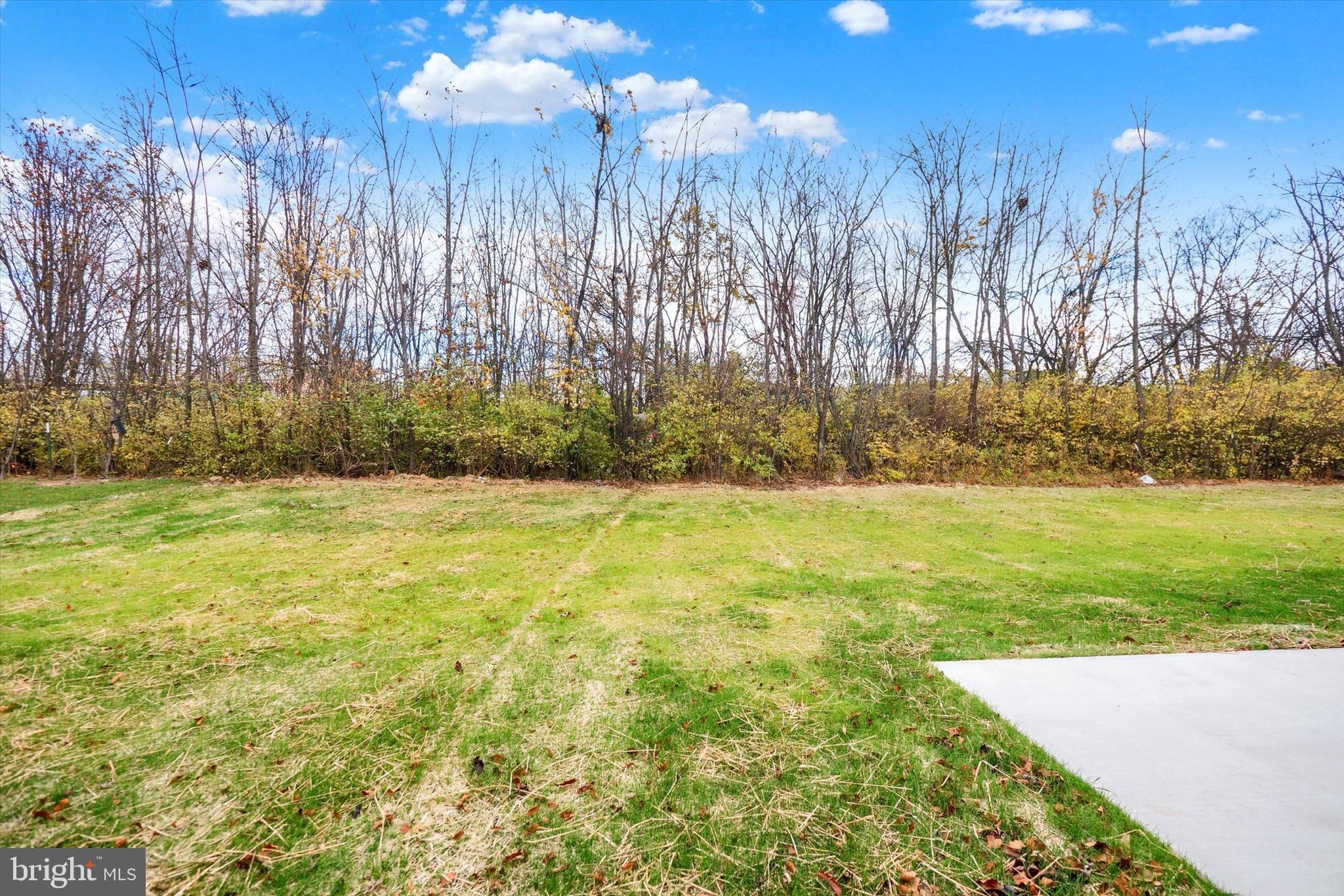 FREEDOM HILLS - Residential