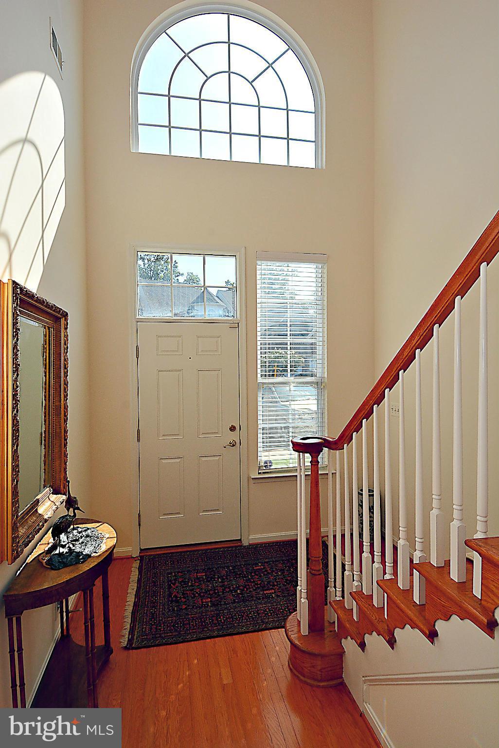 CENTRAL PARKE AT LOWES ISLAND - Residential