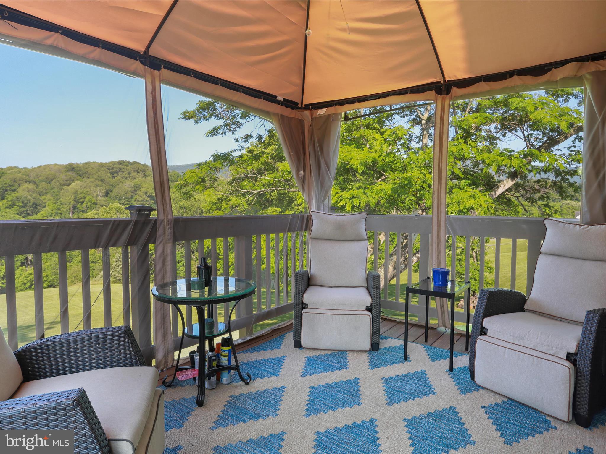 123 WINDY MEADOWS COURT