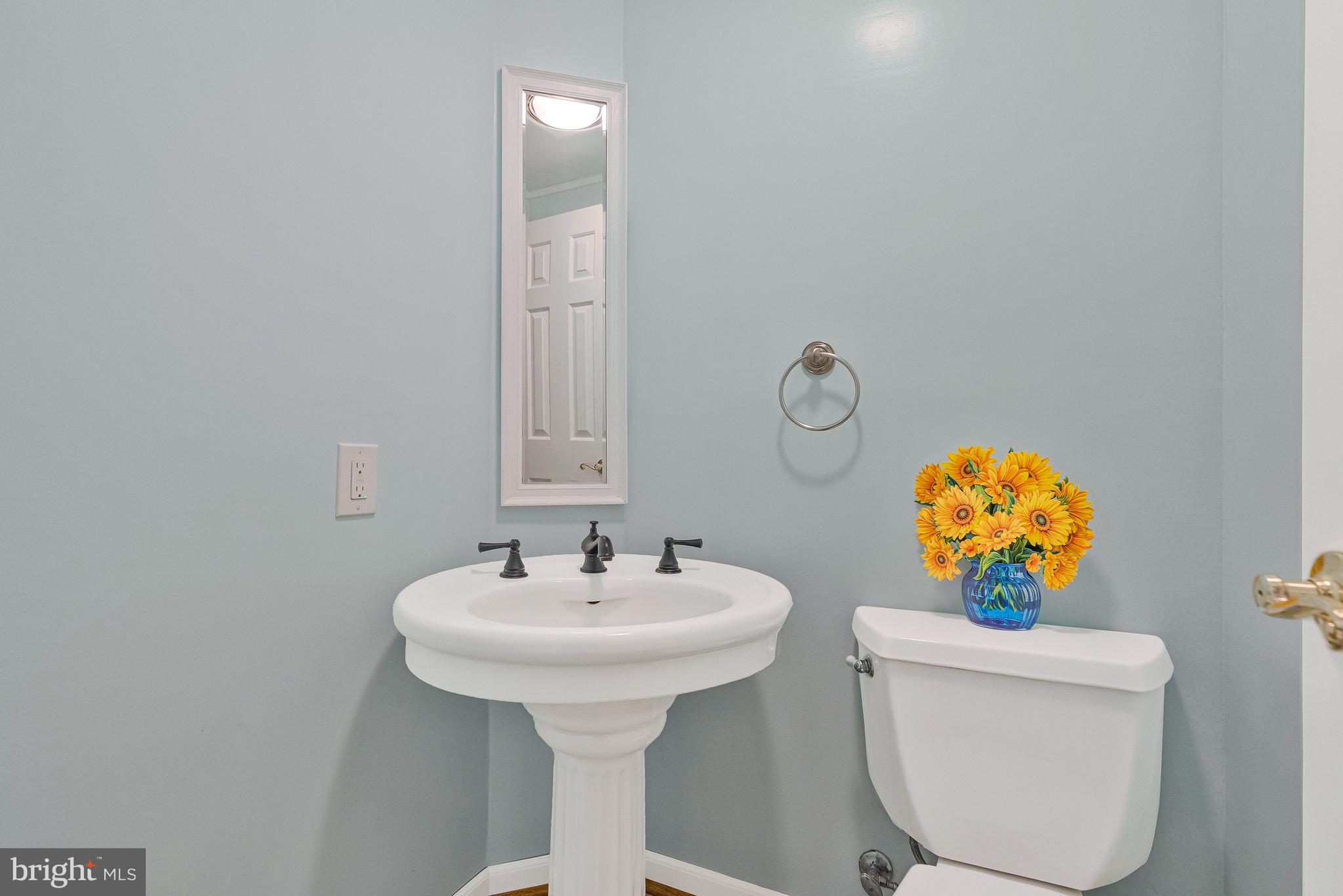 BURKE CENTRE CONSERVANCY - Residential