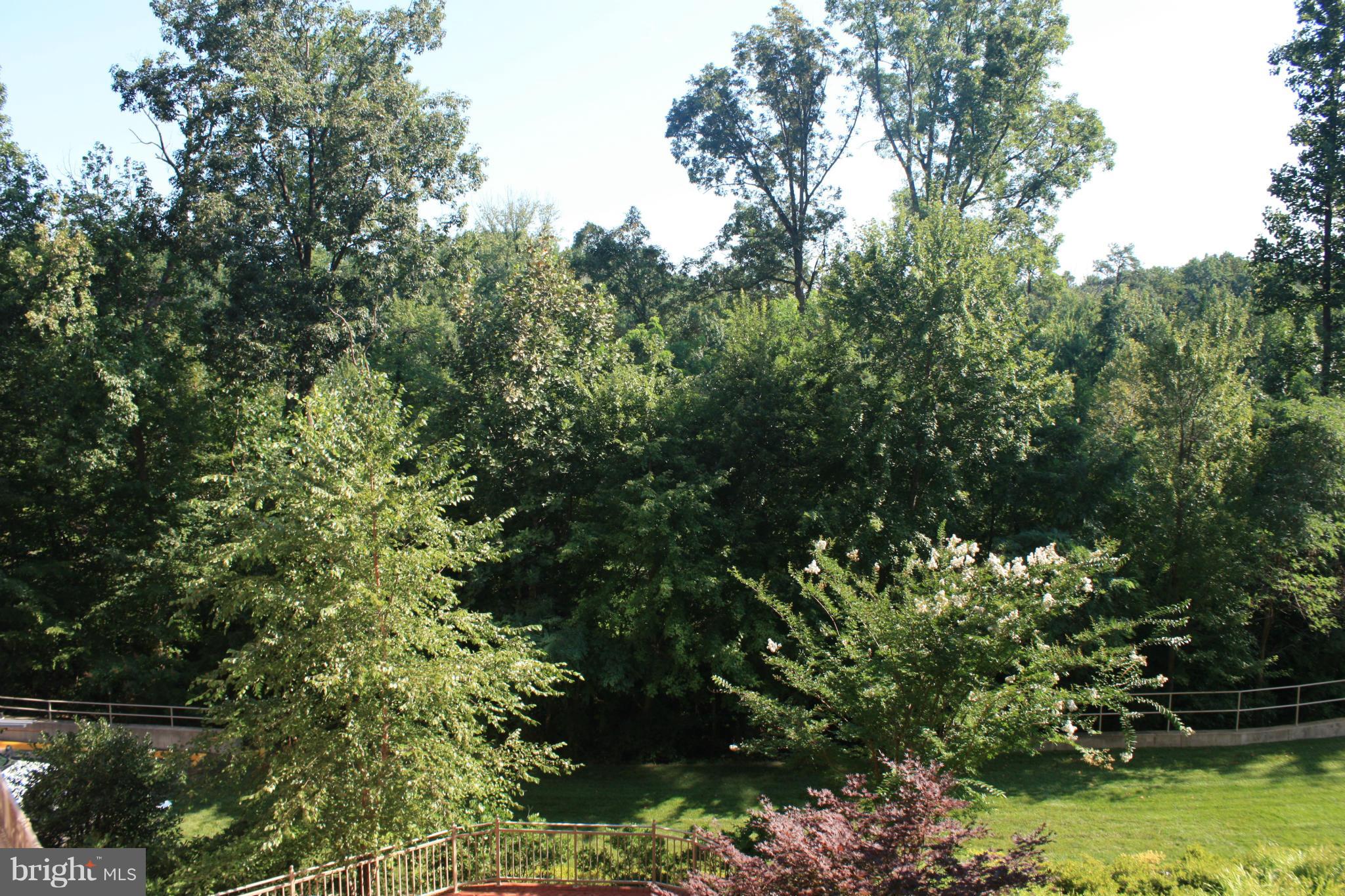 ELAN AT EAST MARKET - Residential Lease