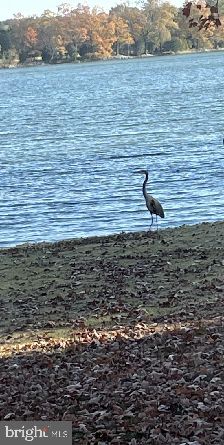 RIO VISTA - Residential