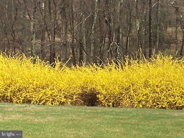 CABIN BRANCH FARM - Residential