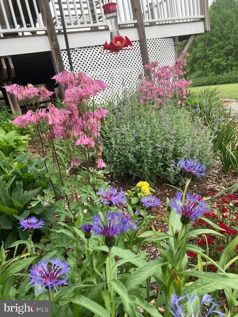 CABIN BRANCH FARM - Residential