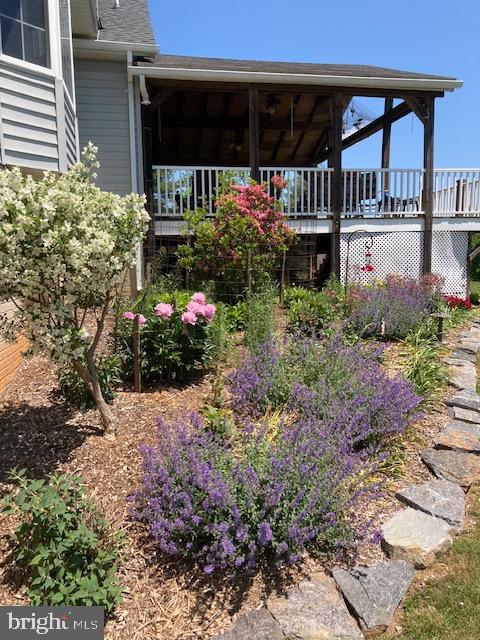 CABIN BRANCH FARM - Residential