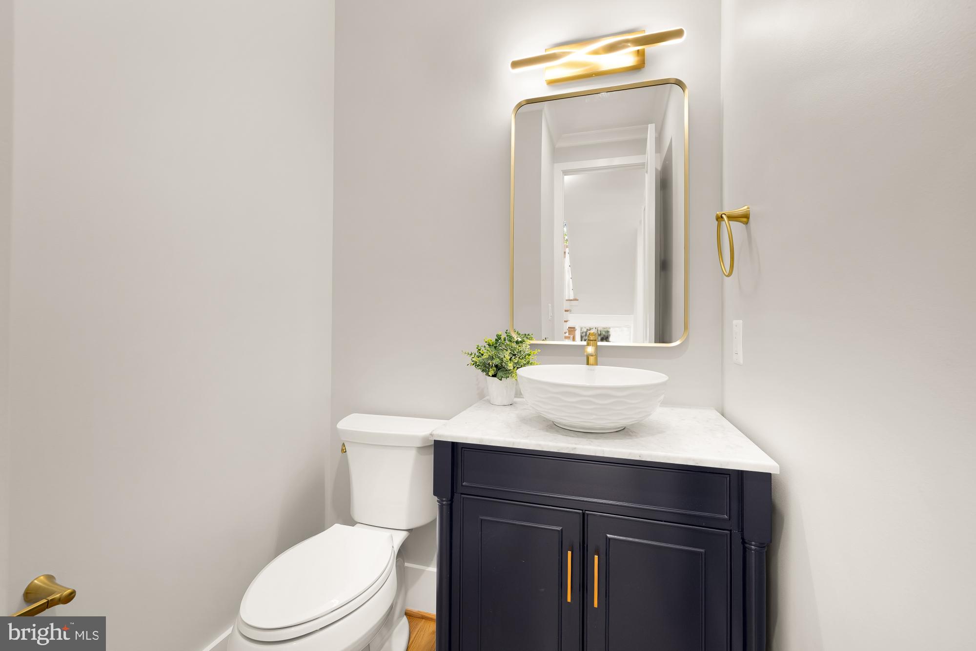 CHEVY CHASE VIEW - Residential