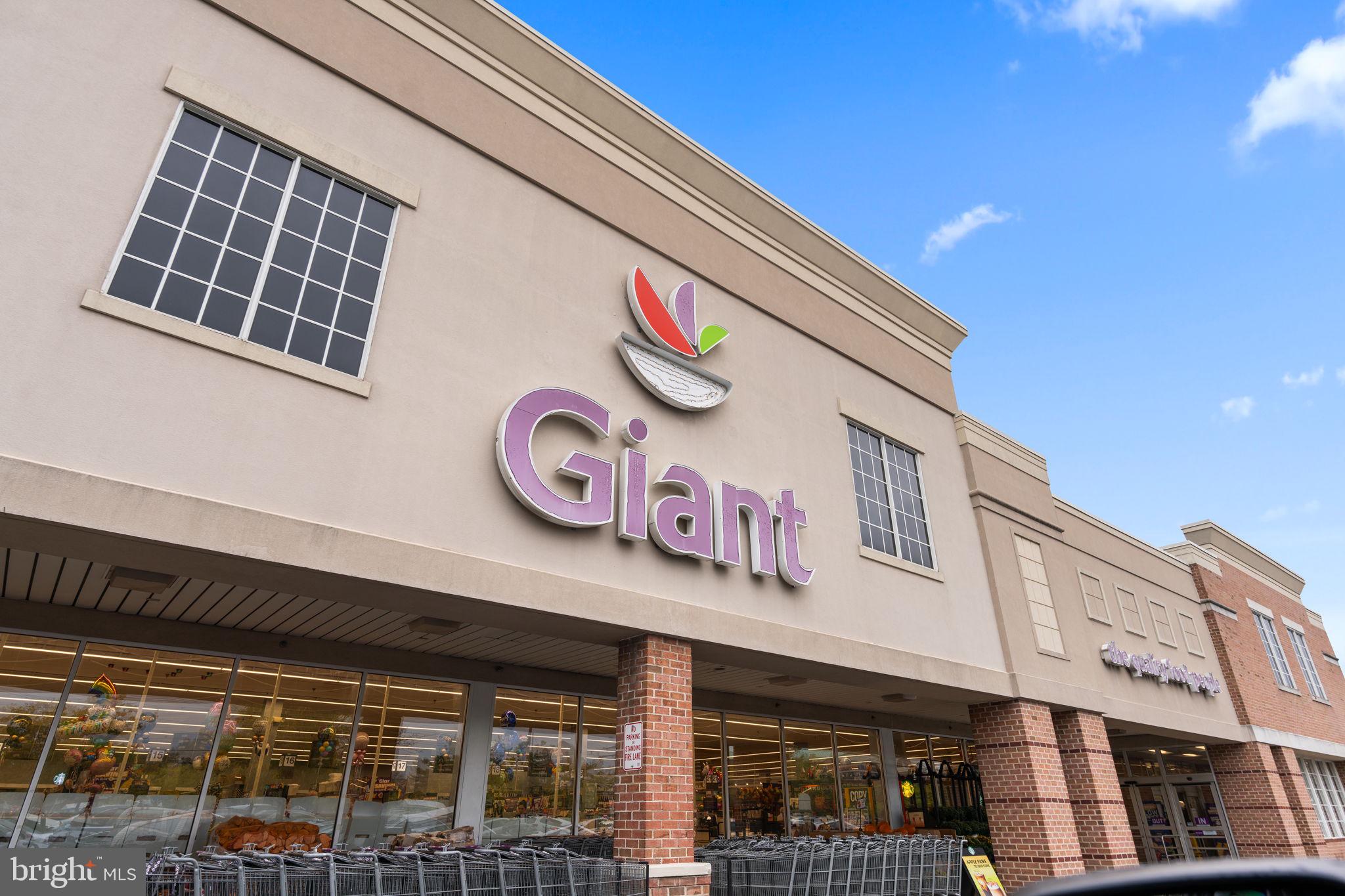 DOLLEY MADISON ESTATES - Residential