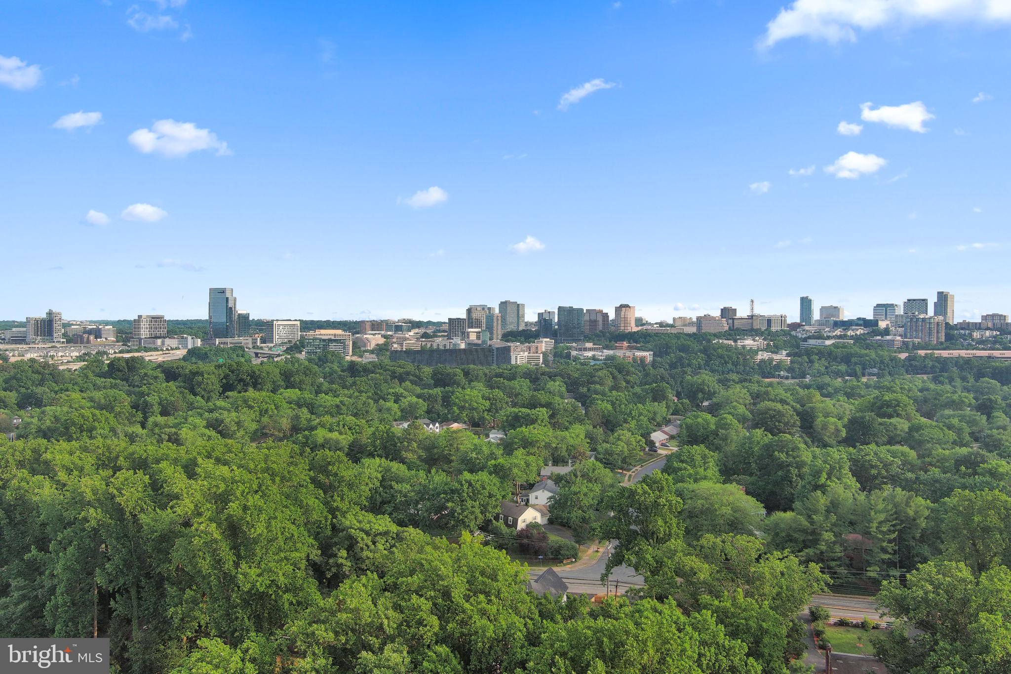 DOLLEY MADISON ESTATES - Residential