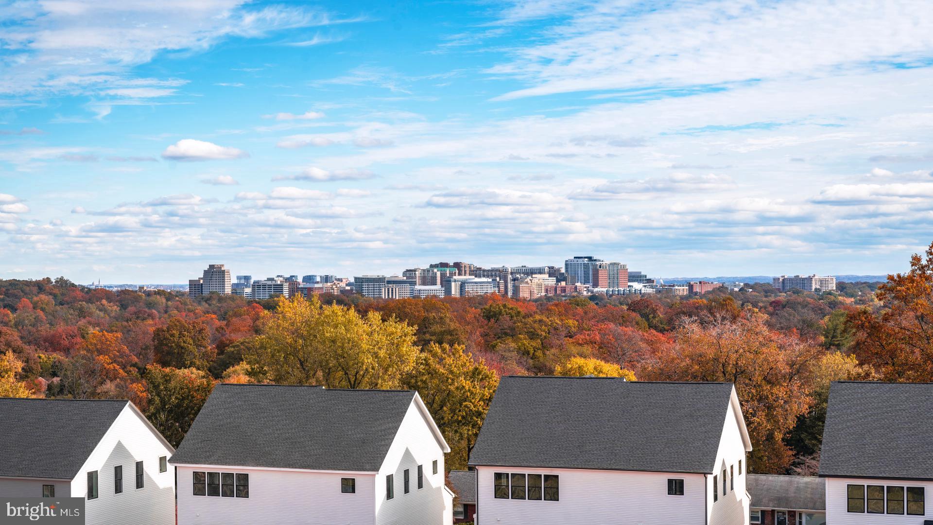 THE GROVE AT DOMINION HILLS - Residential