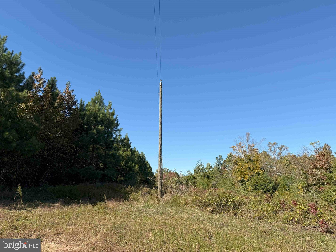 WOODFORK ROAD (RT. 650) (TRACT ROGERS-2)