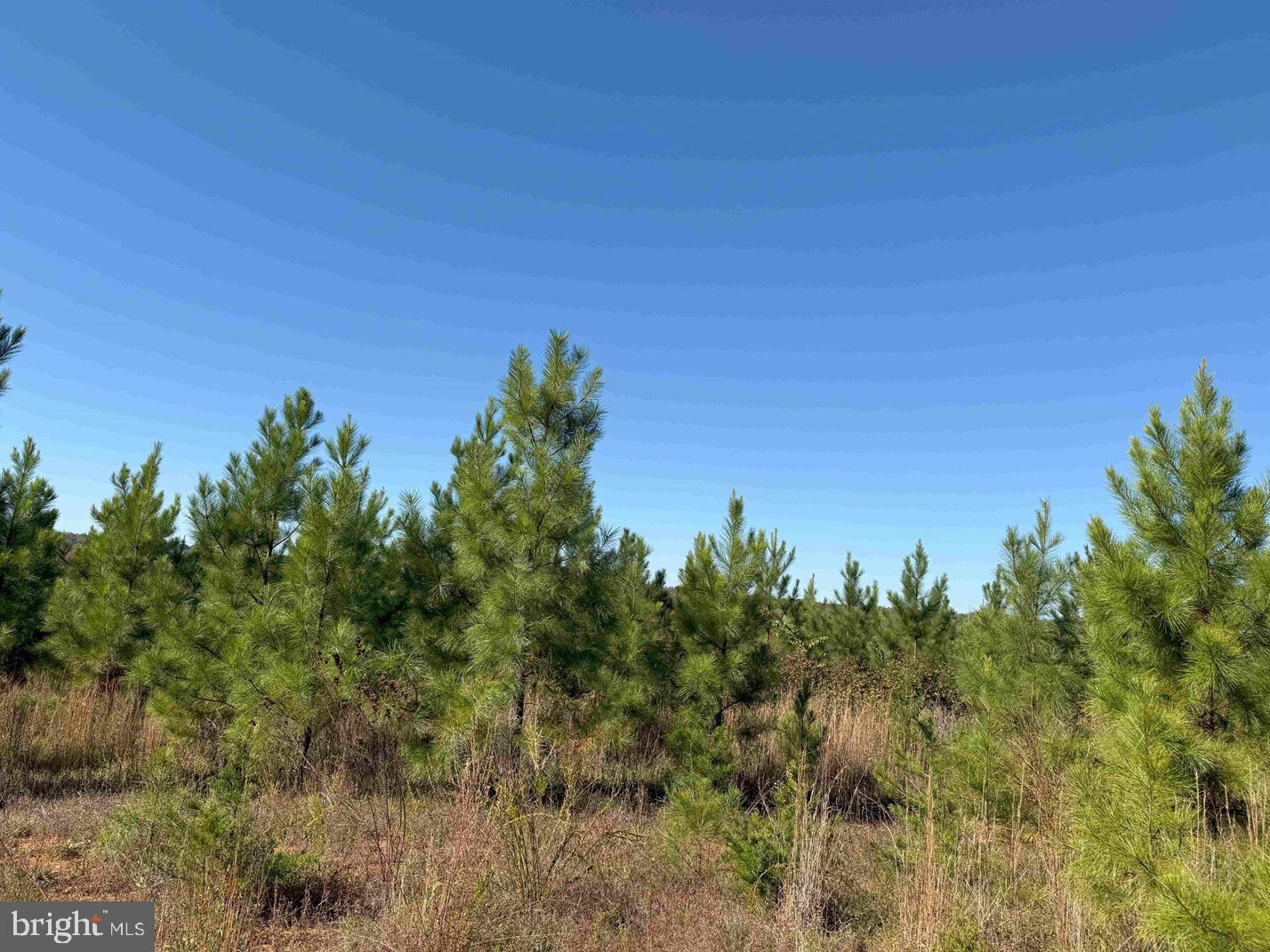 WOODFORK ROAD (RT. 650) (TRACT ROGERS-2)