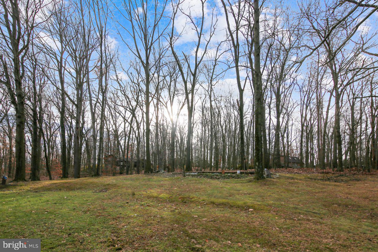 MOUNT ZION KNOLL - Residential